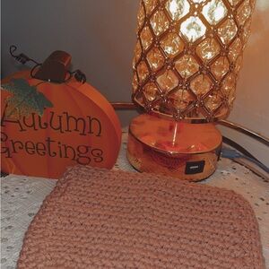 4 for $24 Dusty Rose Crochet Washcloths